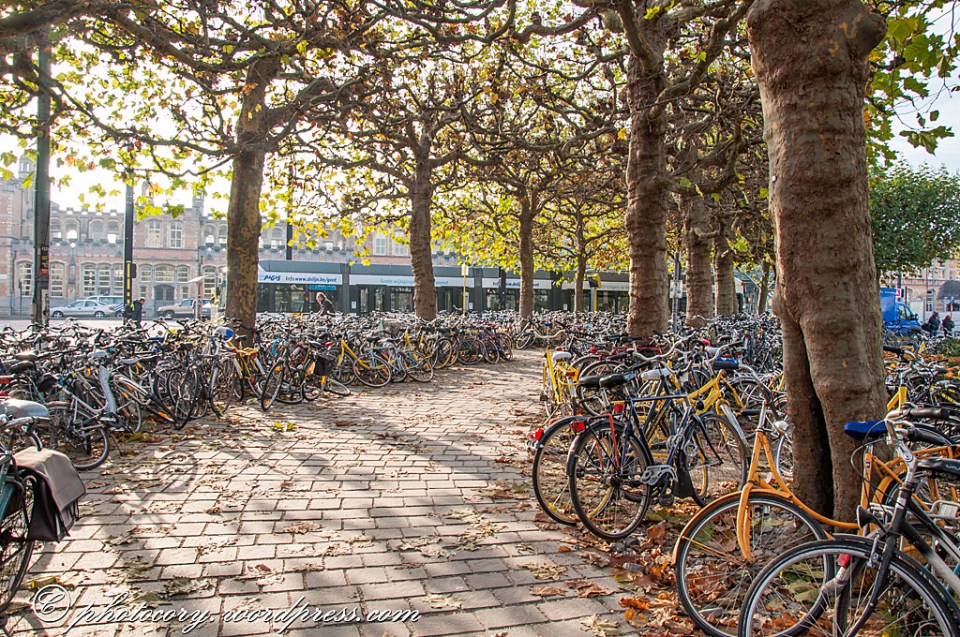 Very echo friendly city! Hundreds of bikes next to train station in Ghent.