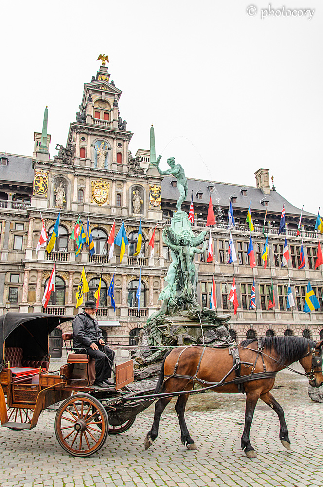 horse and carriage in front of the Town hall