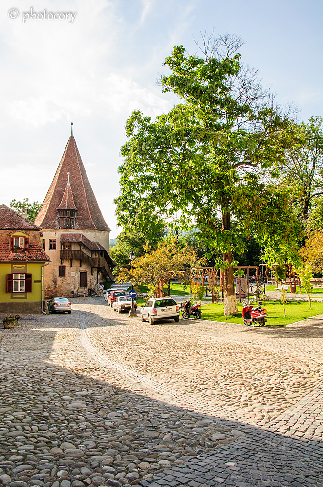 Cobblestone alley in the Citadel