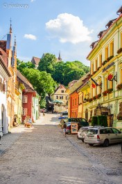 Colourful houses and cobblestone streets in the Citadel