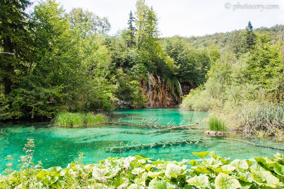 Beautiful emerald colour