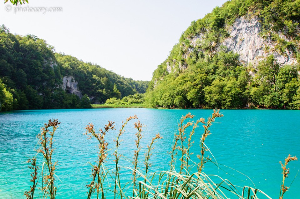 Such a natural vivid colour