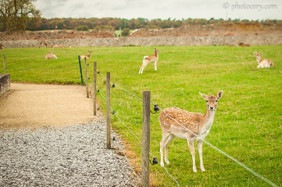 that's the closest I could get. One step more and off it went :)