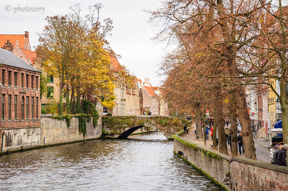 Quiet and beautiful canals during autumn.