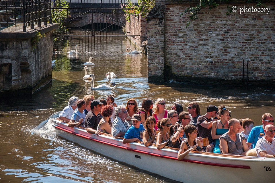 Boat trip and swans next to The Beguinage