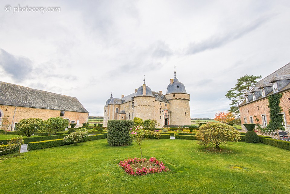 View from the garden