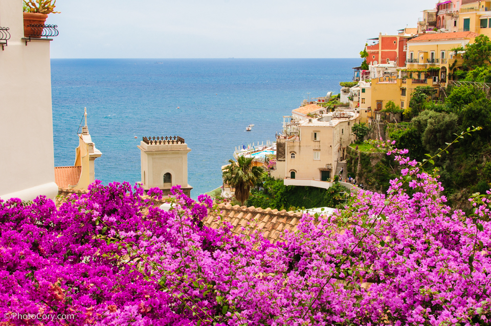 pink flowers positano view italia