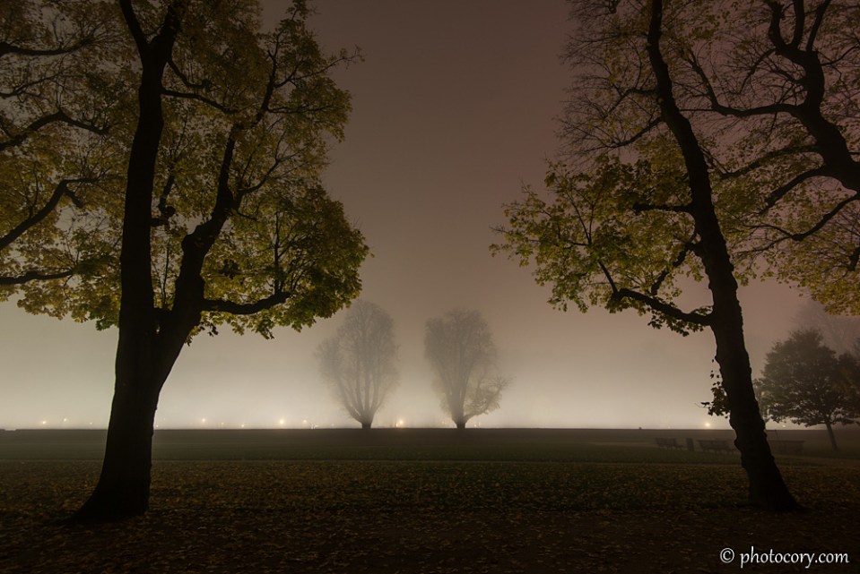 Cinquantenaire park Brussels