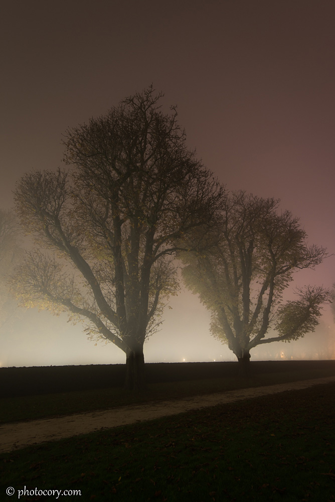 Fog park Cinquantenaire