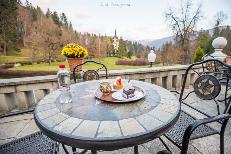 This is the hot wine and two Romanian cakes served on the beautiful terrace with a magnificent view over mountains and Peles Castle. The cake with red jelly on top is called Savarina and the chocolate one is Called Ora 12 ("12 o'clock"). They are very good, I recommend you try them if you ever visit Romania :)