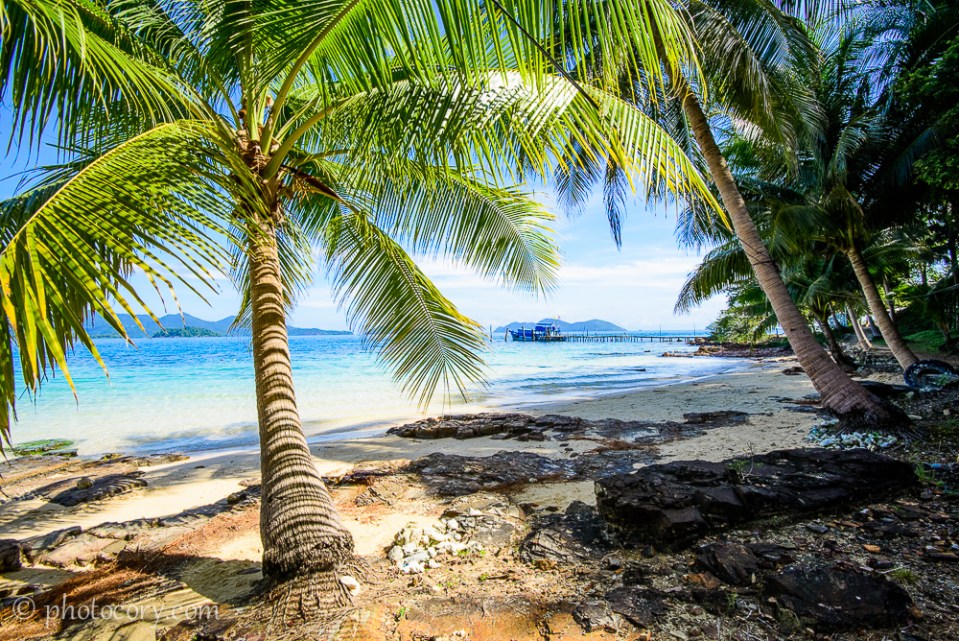 beach palmtree thailand koh wai