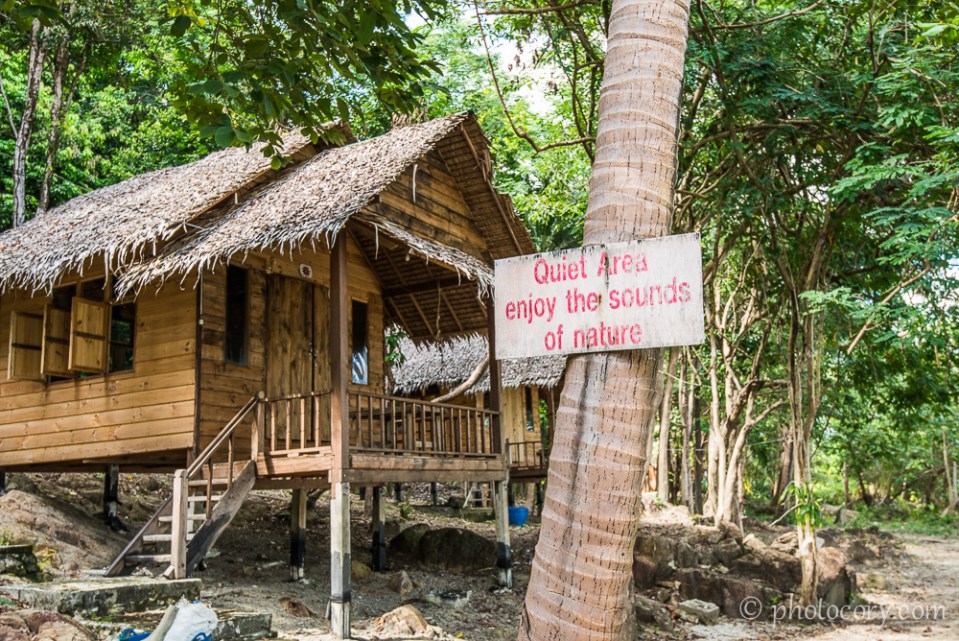 enjoy the sound of nature