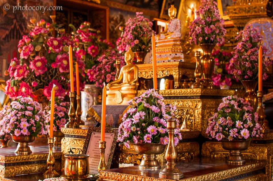Beautiful flowers at Wat Arun/Flori proaspete in templul Arun