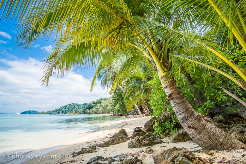 Palmtree beach koh wai