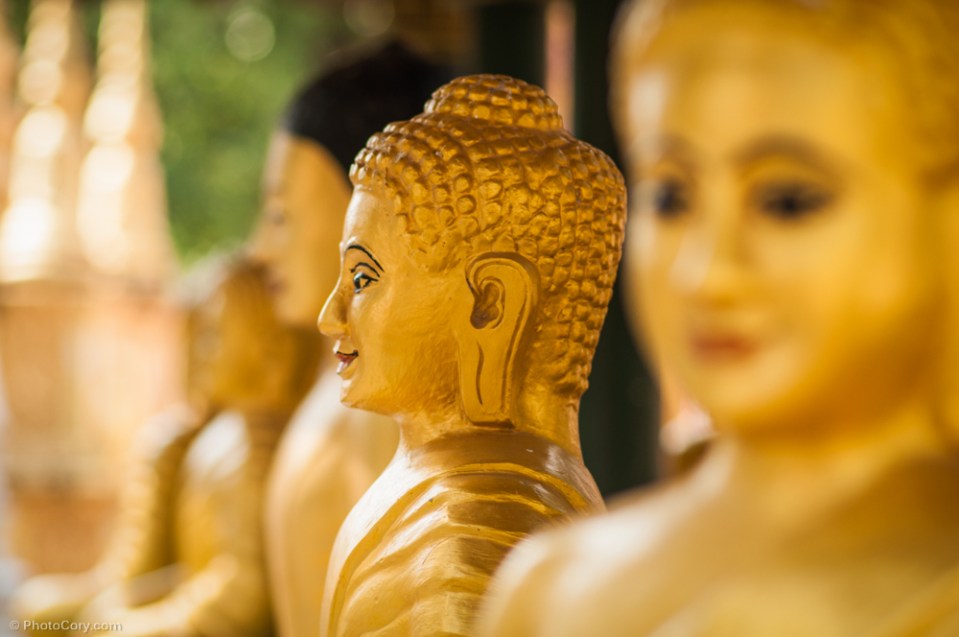 Golden Buddha statues / statui aurii reprezentandu-l pe Buddha