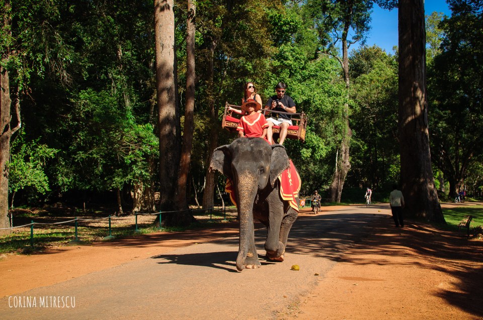 elephant ride at bayon temple siem reap cambodia angkor