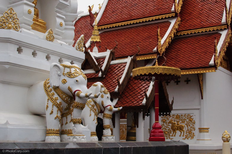 elephant statues temple thailand