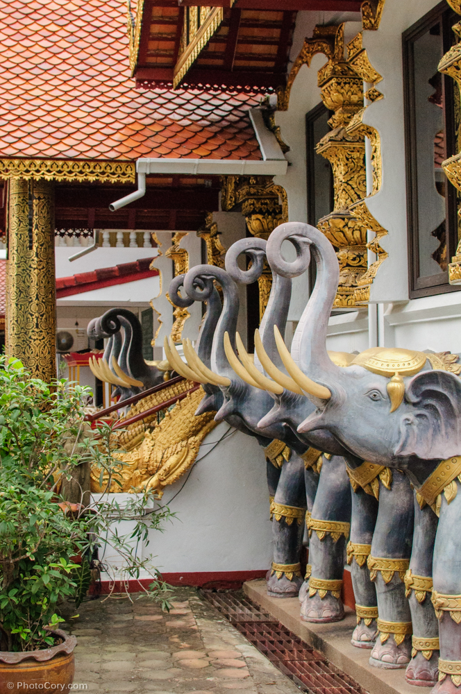 elephants temple thailand