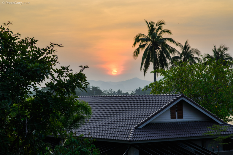 View from our window// Vedere din camera