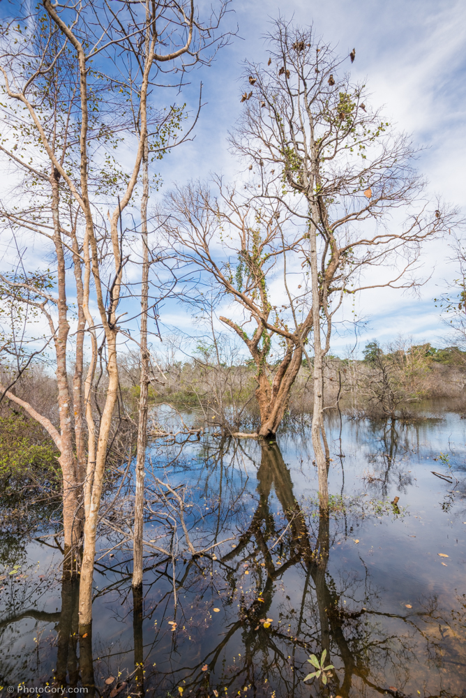 lake neak poan