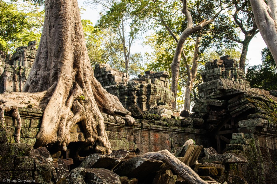 ta prohm, cambodia