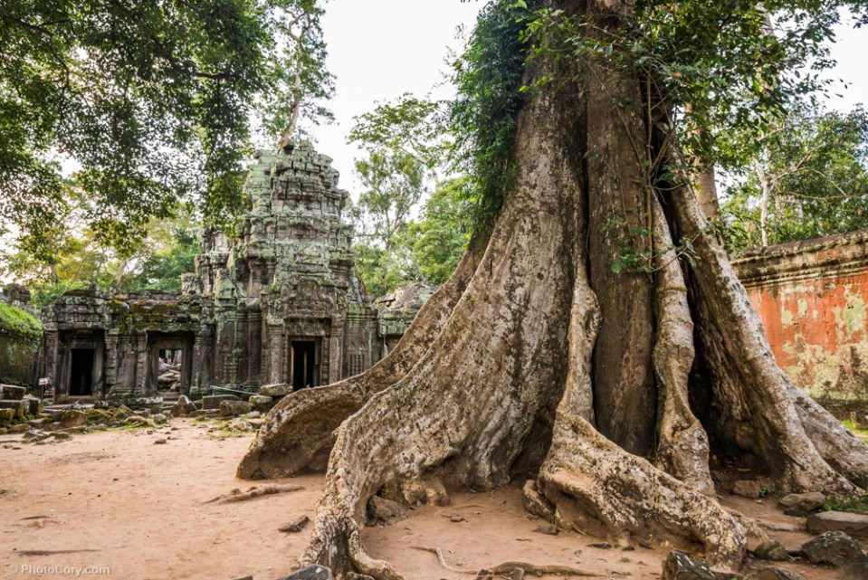 ta prohm cambodia