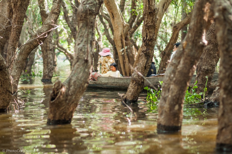the flooded forest cambodia