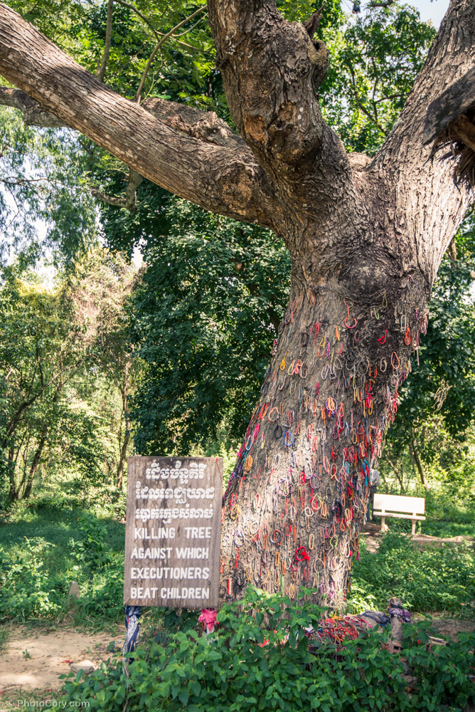 Killing tree against which executioners beat children / Copacul sub care se bateau copiii