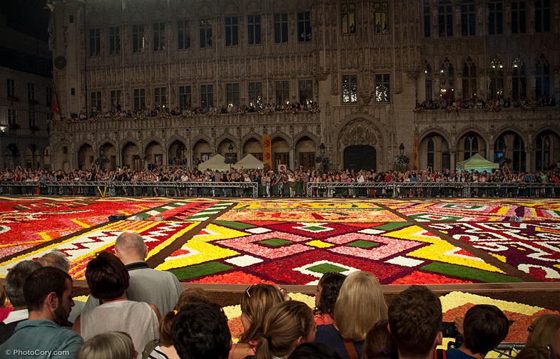 flower carpet grand place