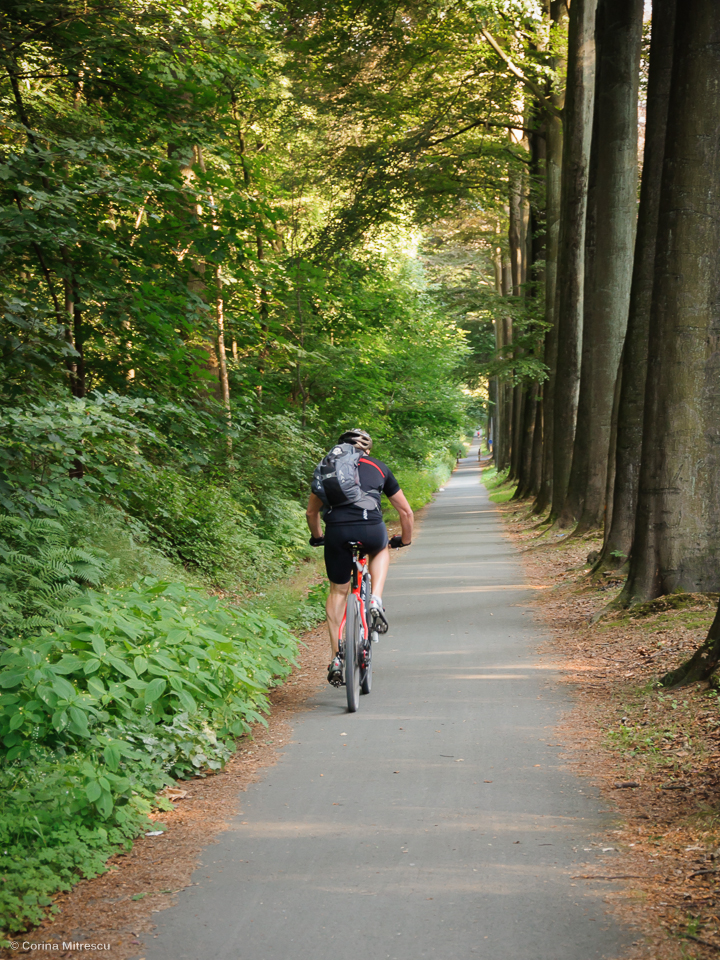 bike foret de soignes