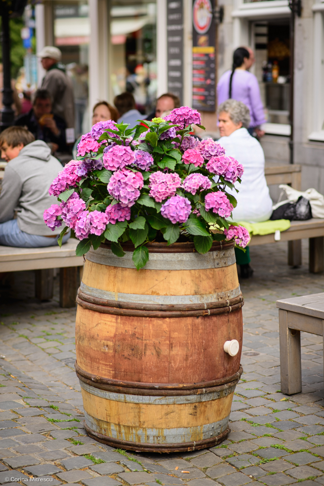 butoi cu flori, barrel with flowers
