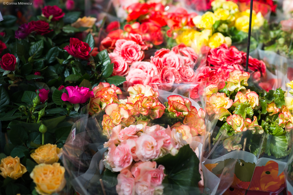 flowers sunday flagey