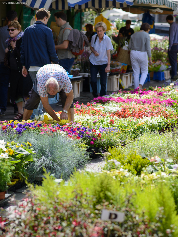flowers sunday market flagey brussels