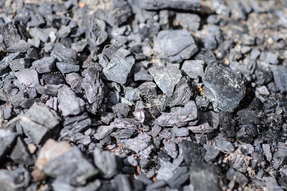 coals