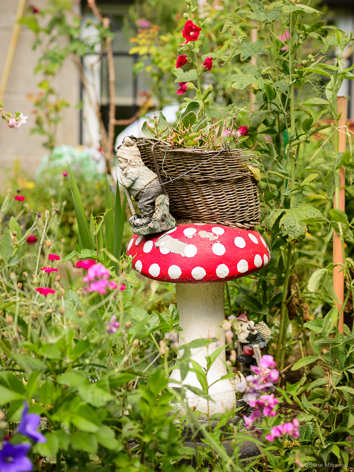 mushroom and two dwarves