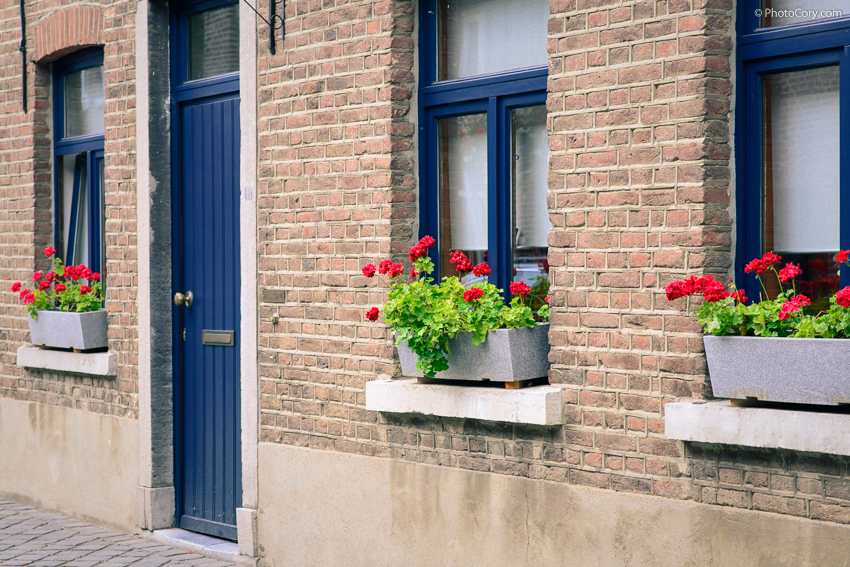 village oud rekem blue windows and flowers