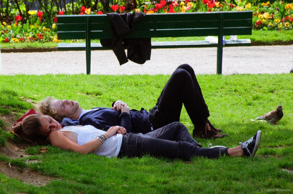 sleeping on grass in paris