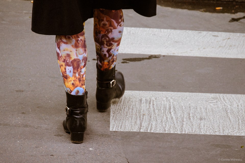 stockings with dogs