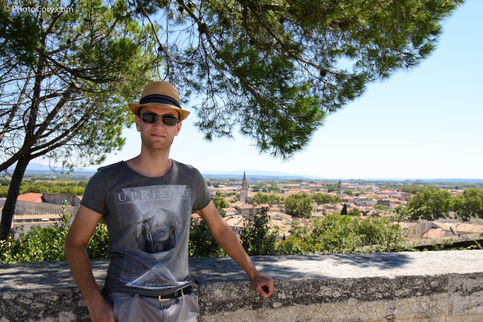 view of avignon from the park