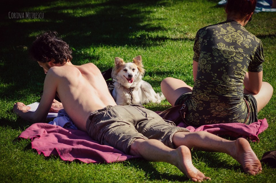 couple with dog on grass