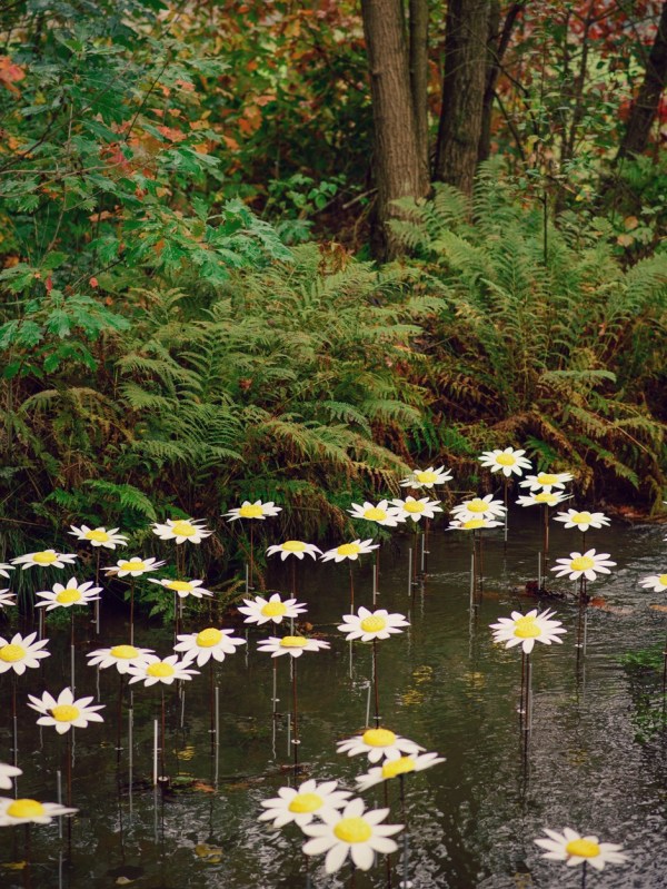 flowers river hamont achel belgium