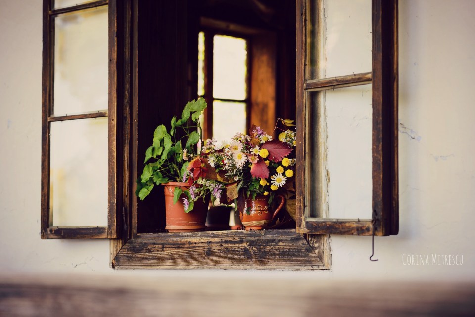 geam cu flori la muzeul satului din bucuresti