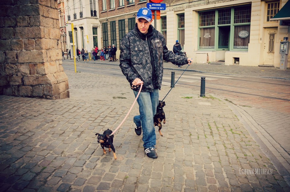 man with 2 Chihuahuas