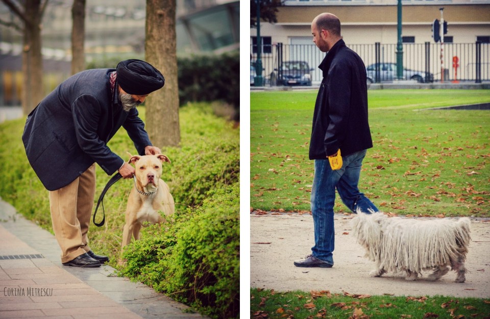 people with dog puli