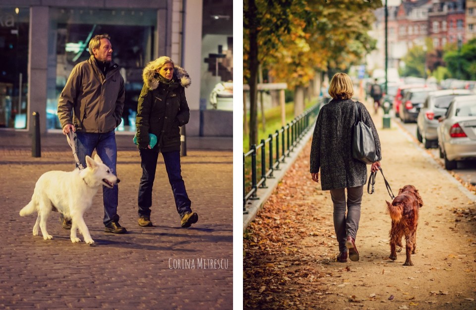 people with their dog