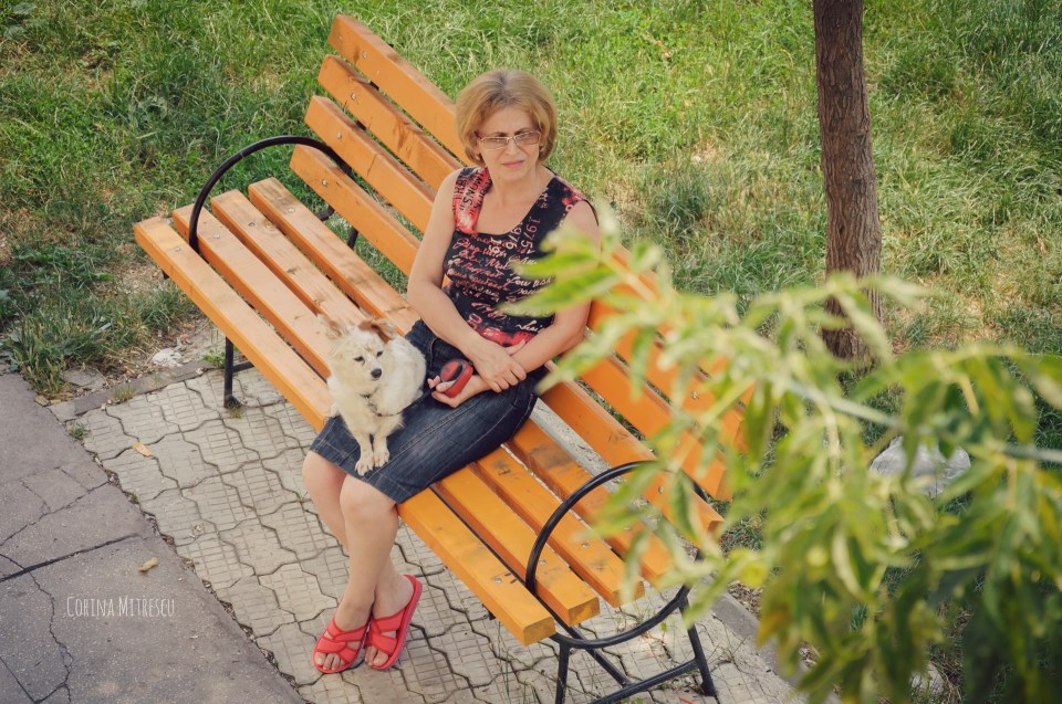 with dog on bench