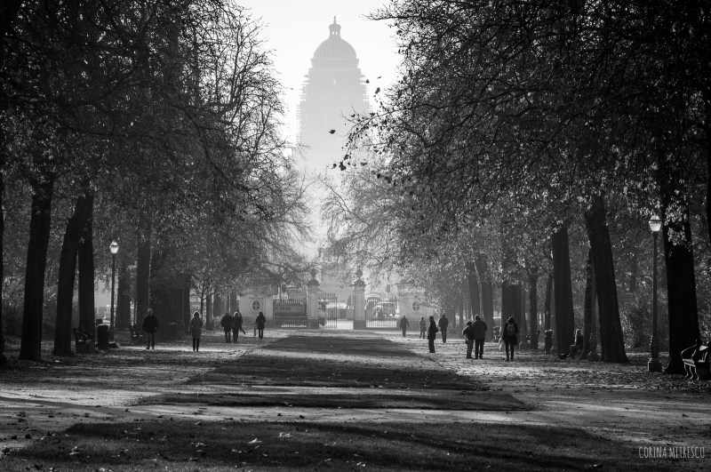 brussels parc in center of Brussels
