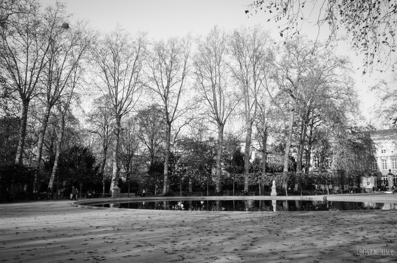 central parc in brussels