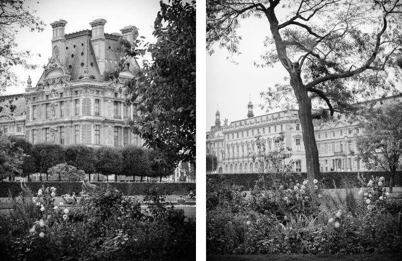 louvre, luvru, Jardin des Tuileries, black and white, autumn