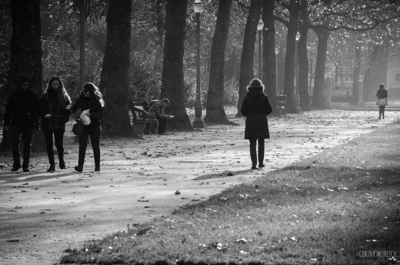 people walking in parc, black and white